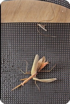 스크린샷 2023-10-06 104437.png