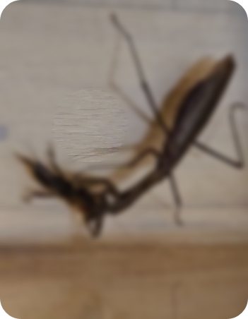 스크린샷 2023-10-22 165700.png