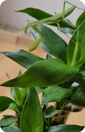 스크린샷 2023-09-21 235048.png