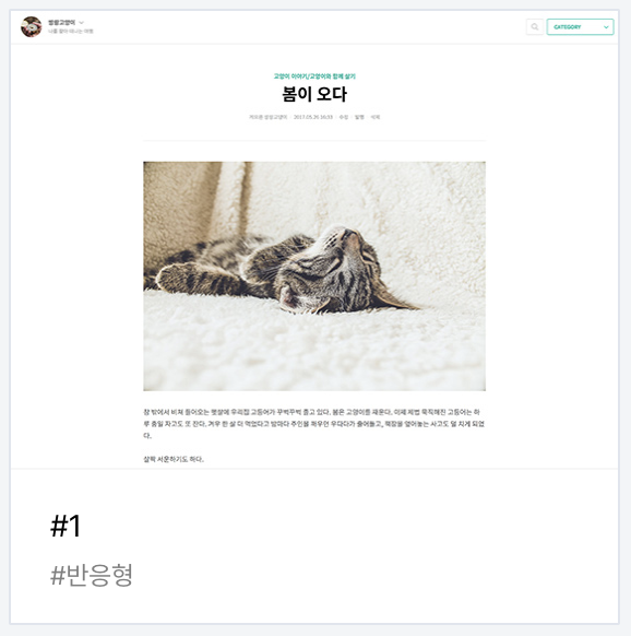 스크린샷 2025-03-21 오전 10.19.46.png