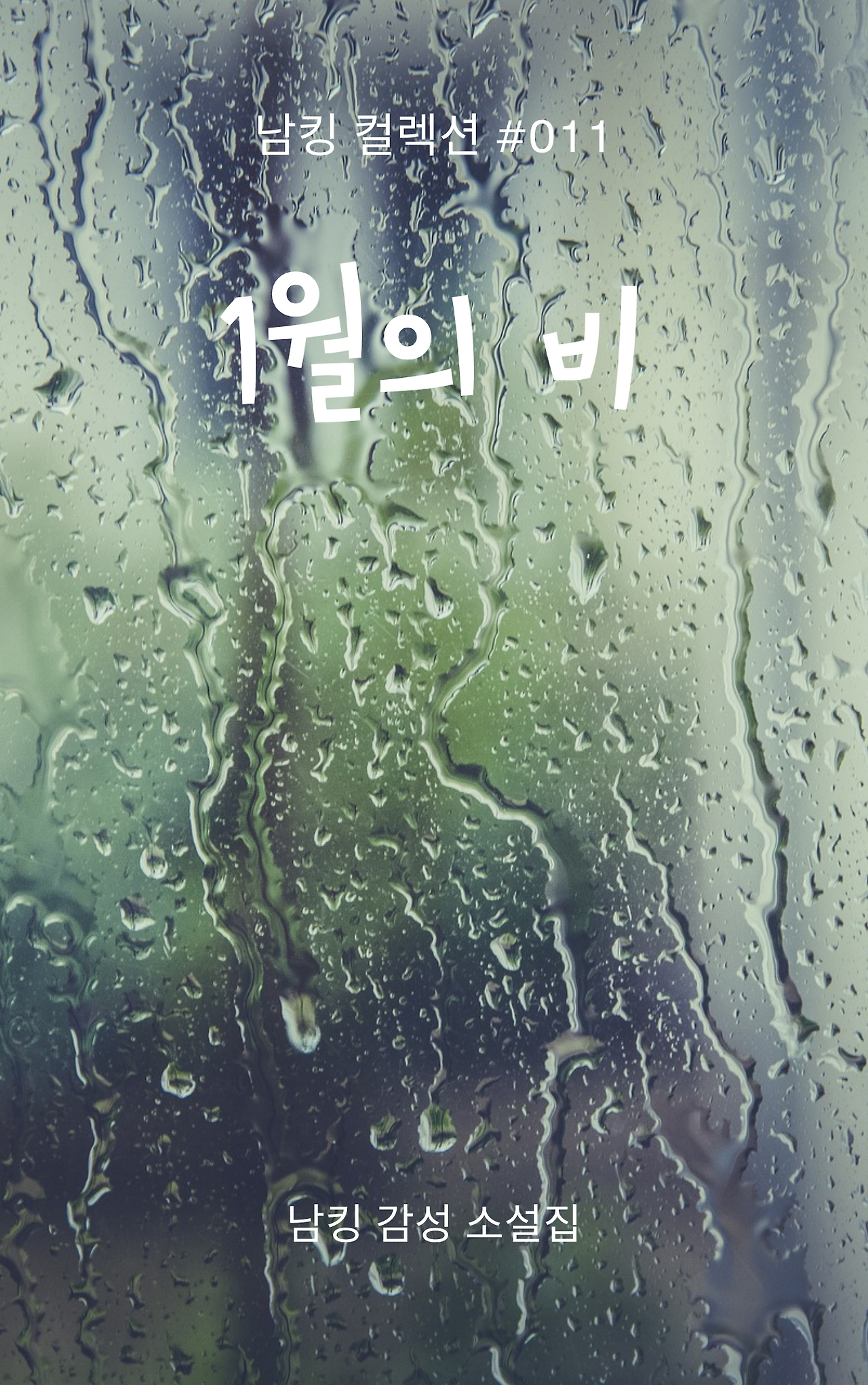 1월의 비 Book Cover (2).png