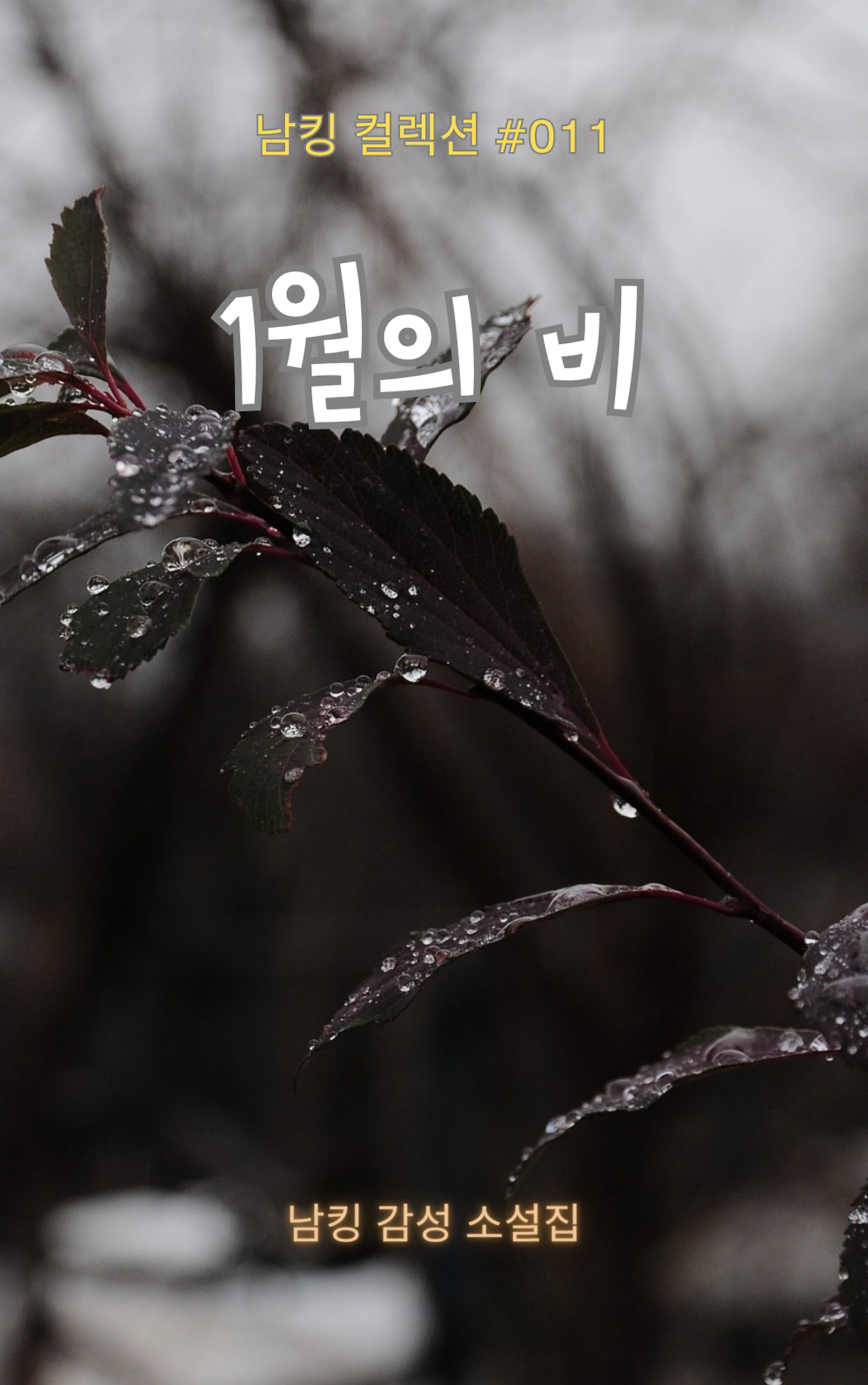 1월의 비 Book Cover (8).png