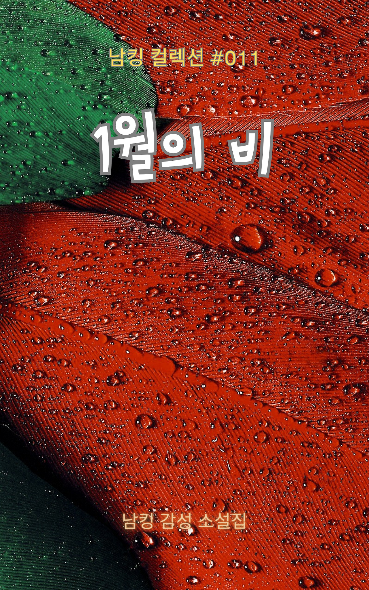 1월의 비 Book Cover (14).png