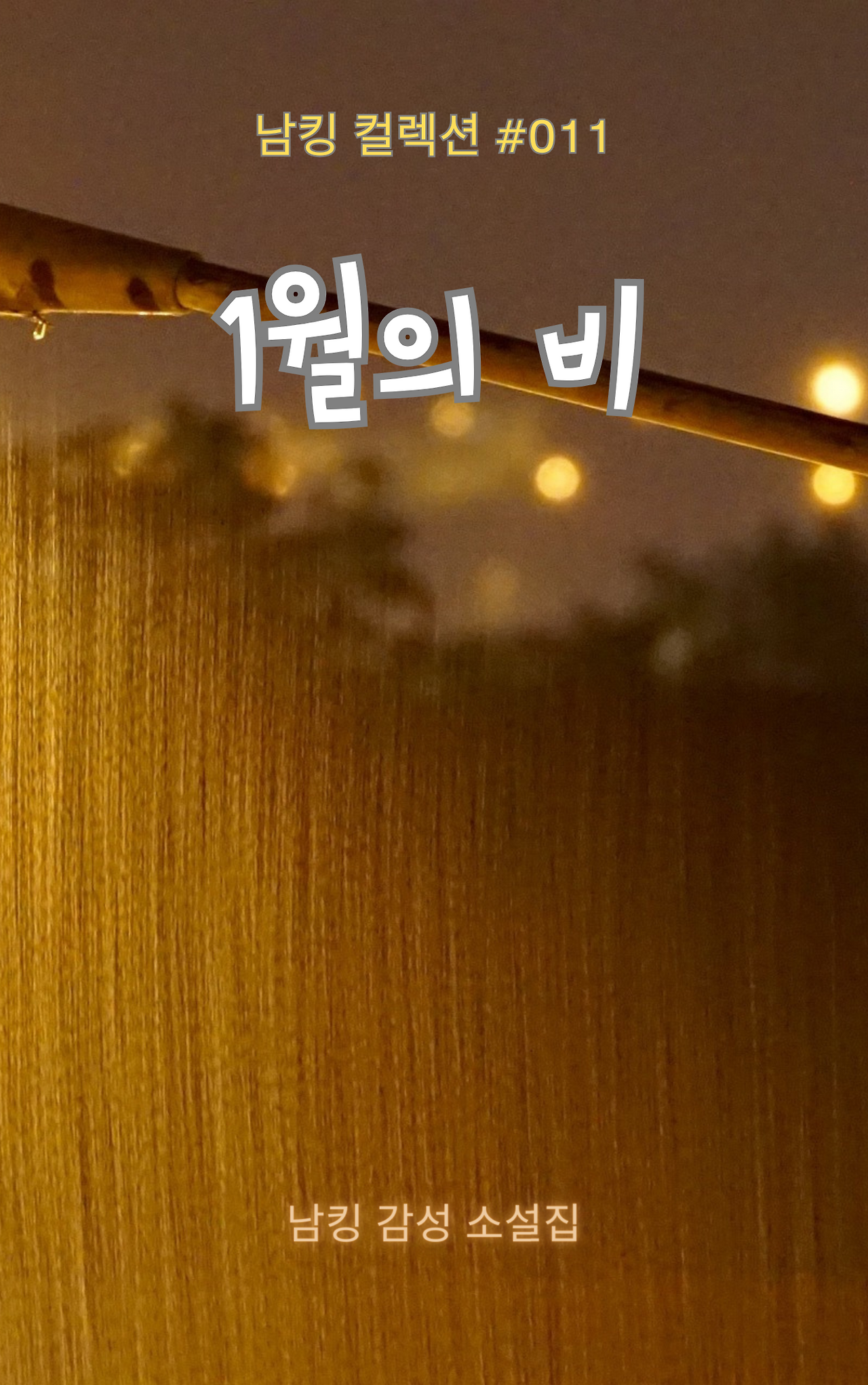 1월의 비 Book Cover (10).png