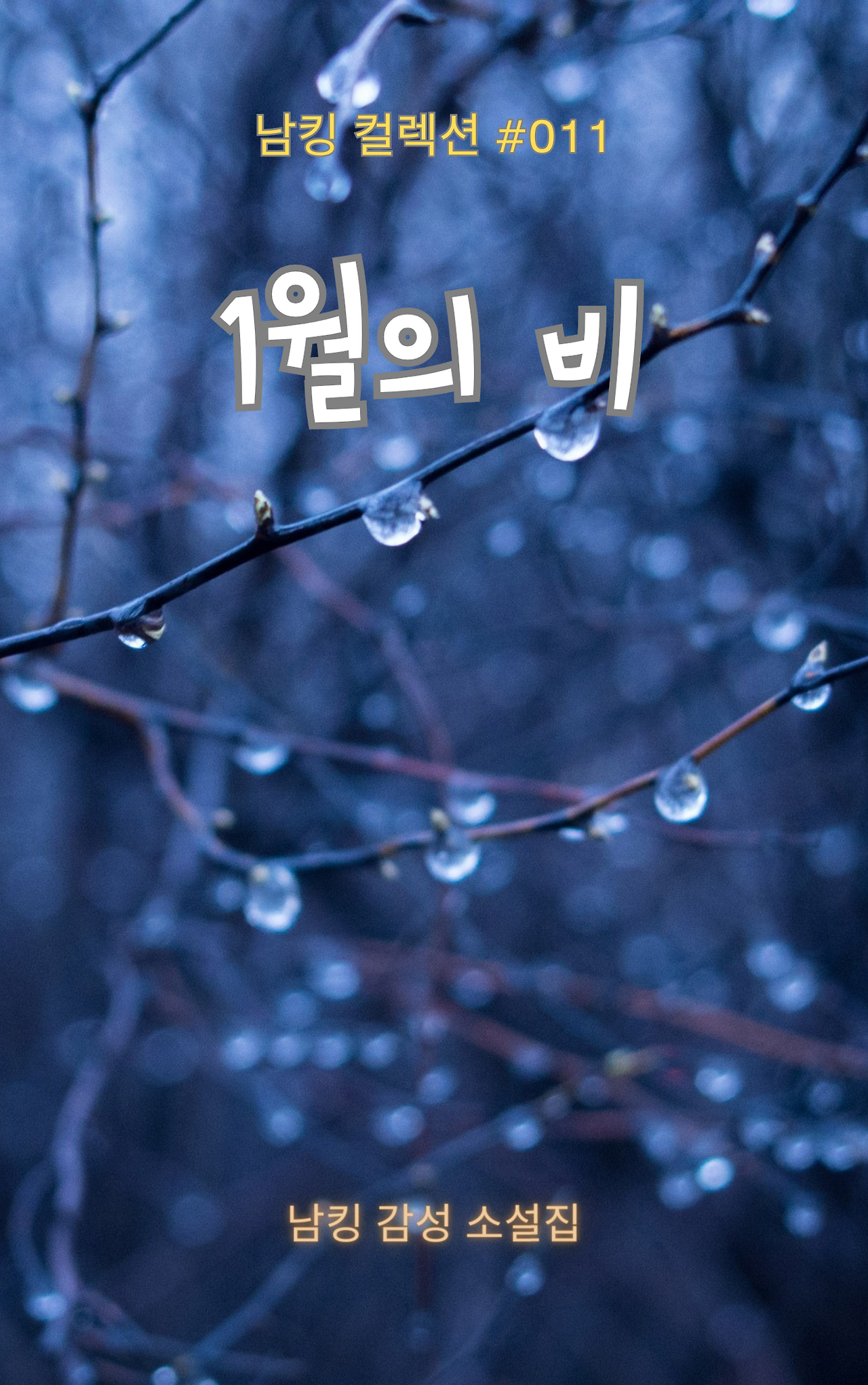 1월의 비 Book Cover (12).png