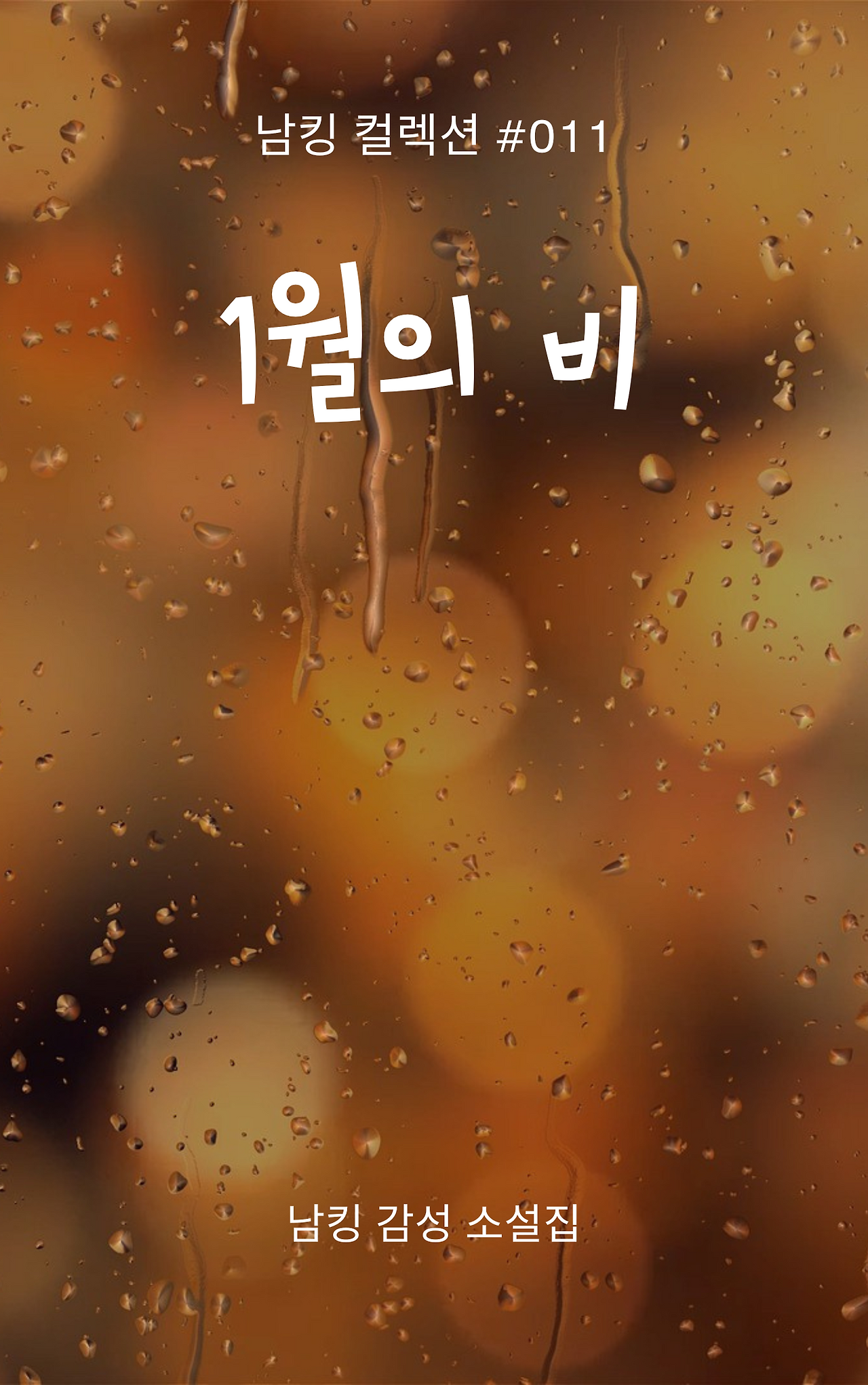 1월의 비 Book Cover (1).png