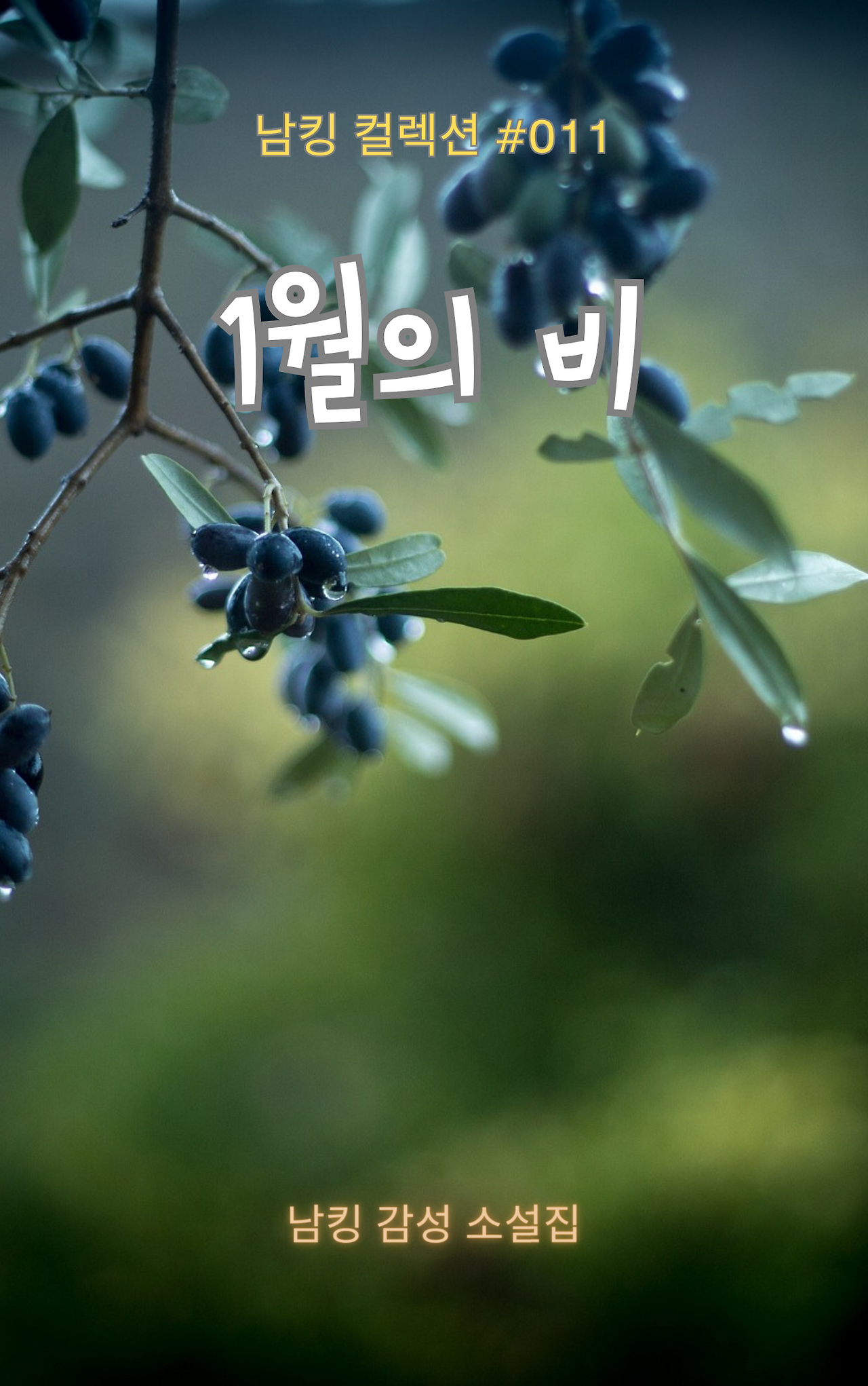 1월의 비 Book Cover (5).png