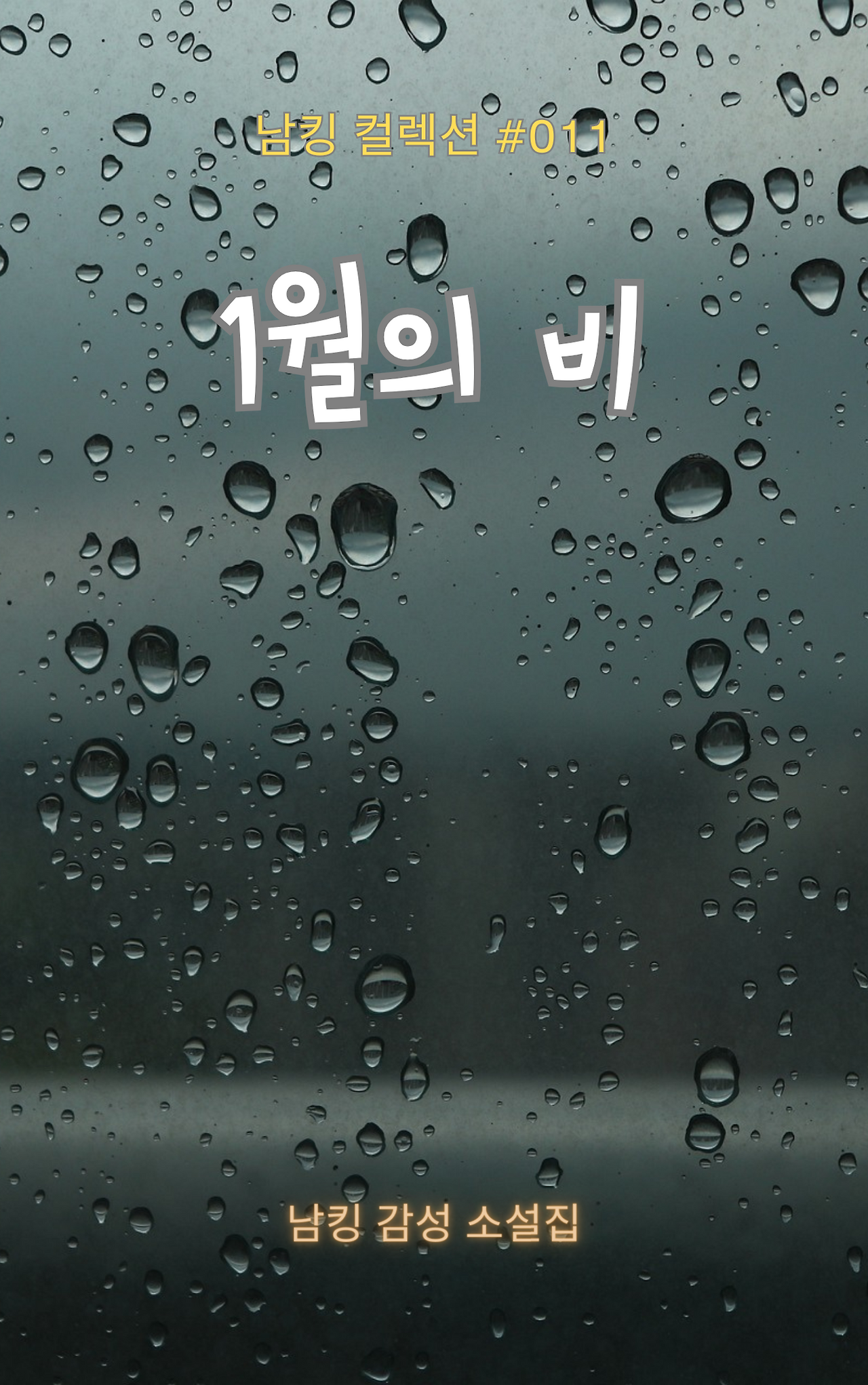 1월의 비 Book Cover (6).png