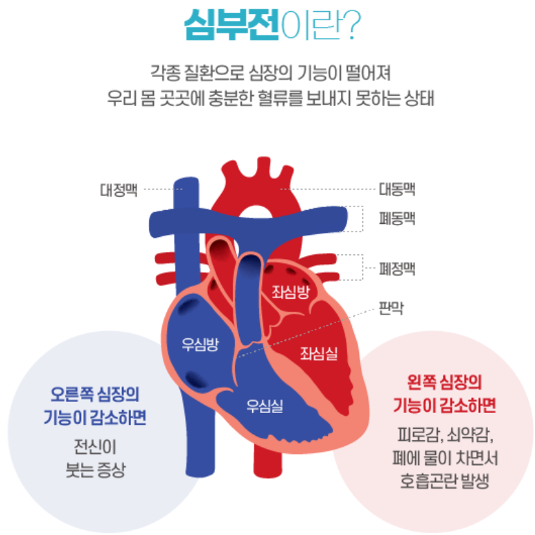 화면 캡처 2023-06-26 211822.png