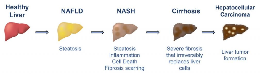 스크린샷 2024-01-18 235702.png