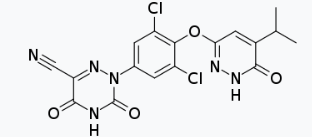 스크린샷 2024-01-18 234045.png