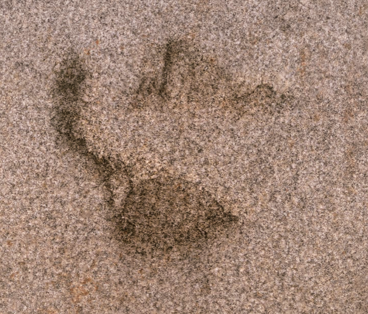 2호 석실 북벽.png