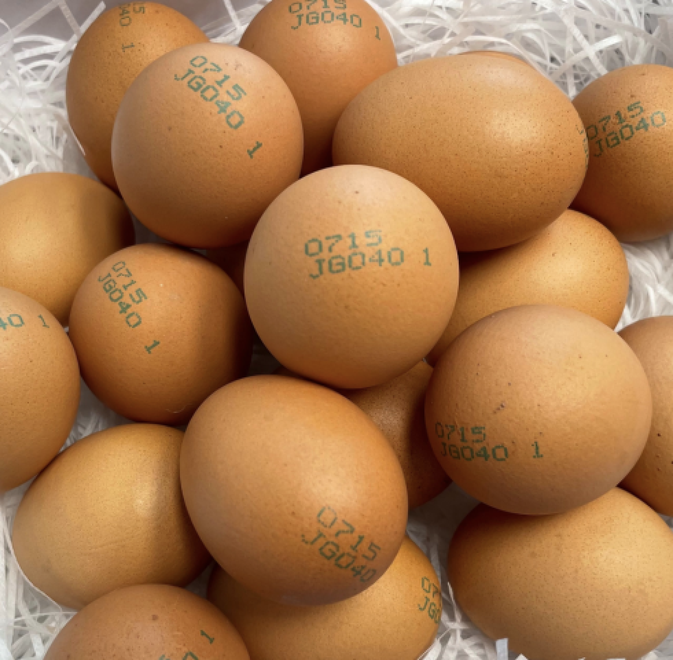 스크린샷 2025-11-22 오전 10.58.04.png