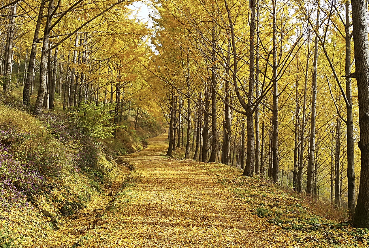 스크린샷 2025-10-30 오후 1.17.21.png