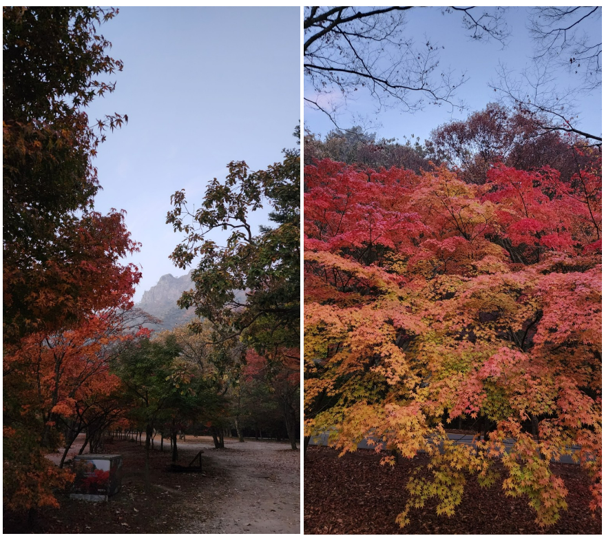 스크린샷 2023-09-21 194203.png