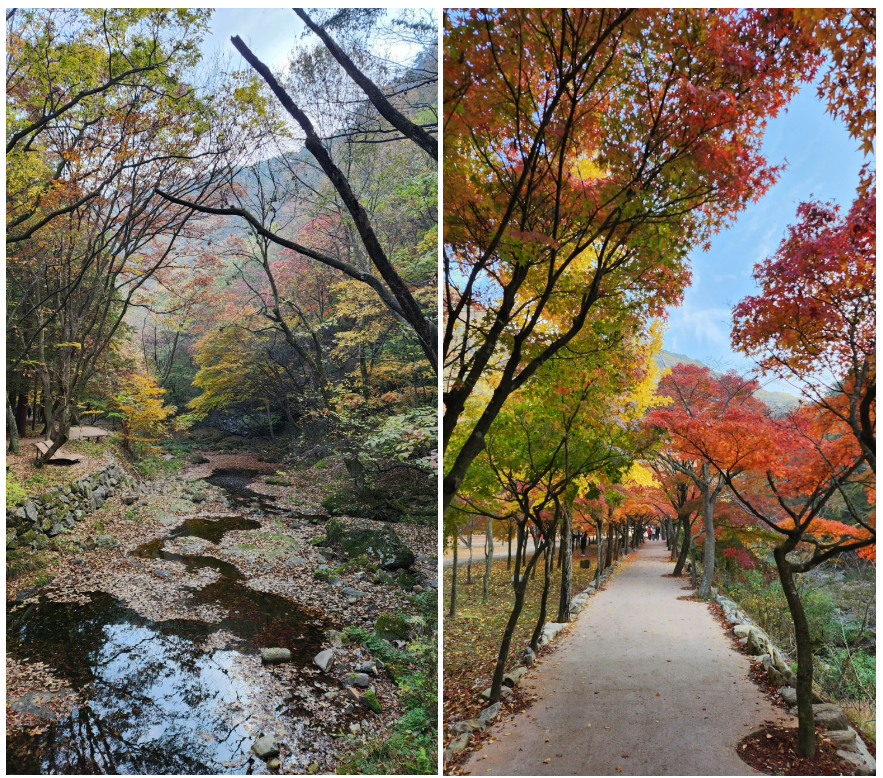 스크린샷 2023-09-21 194356.png