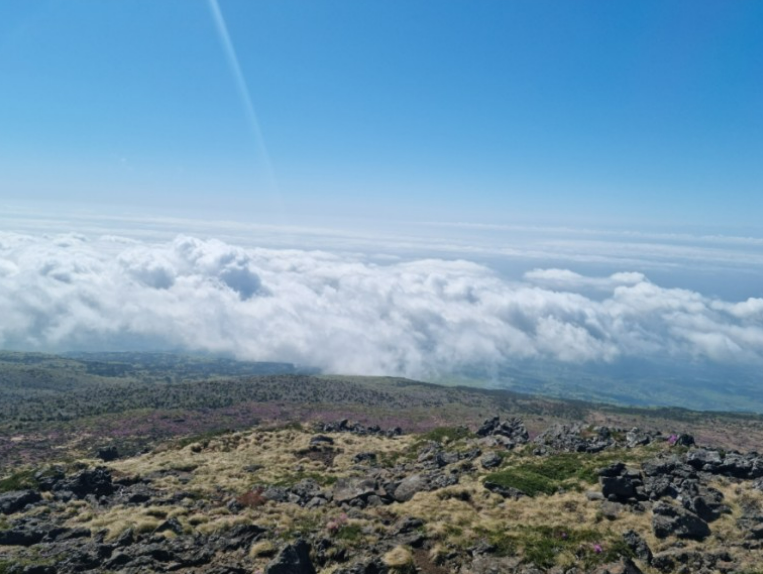 스크린샷 2023-09-27 161729.png