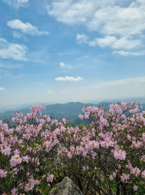 스크린샷 2023-09-29 194930.png