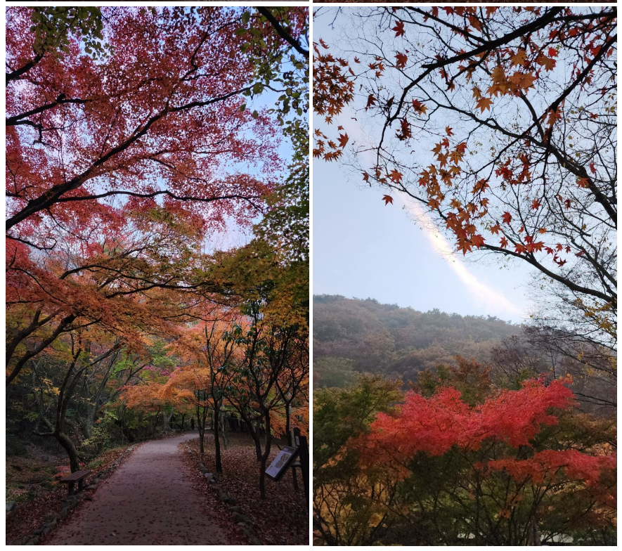 스크린샷 2023-09-21 194138.png