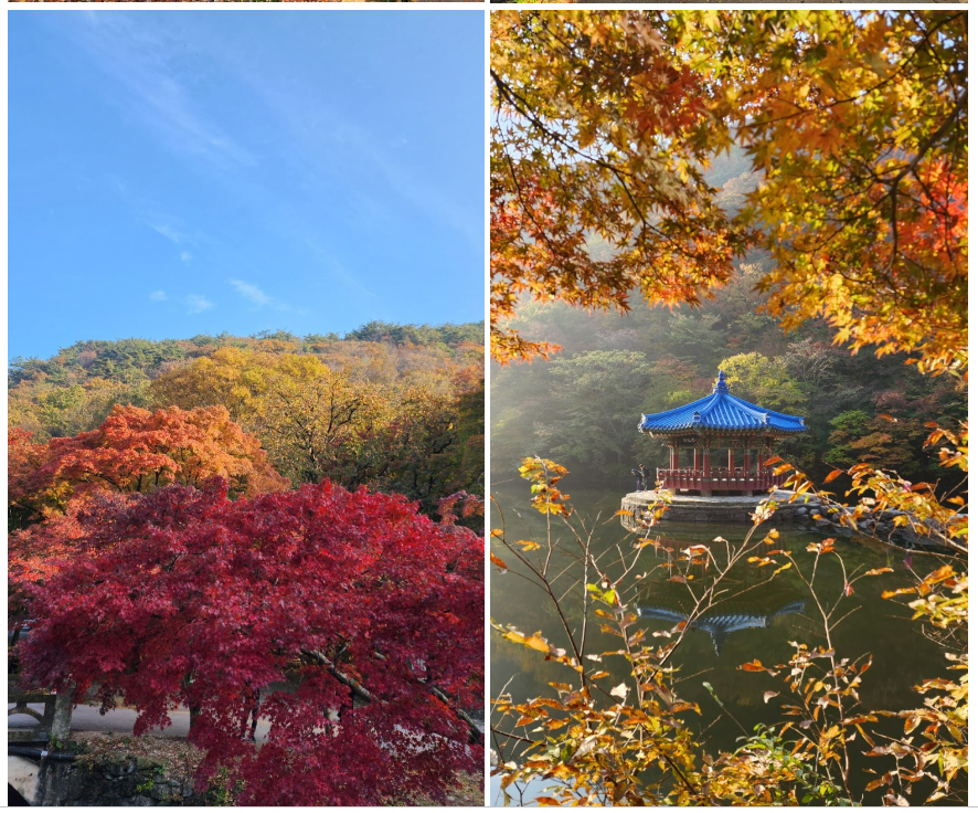 스크린샷 2023-09-21 194229.png