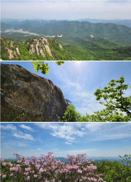 스크린샷 2023-09-29 195024.png