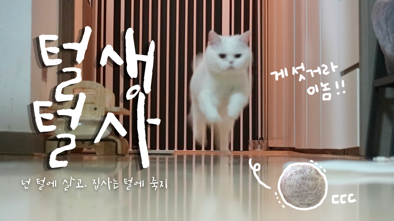 512D4D02-76E8-4173-A46D-2F1FD469D8A1_Original - 하유미.png