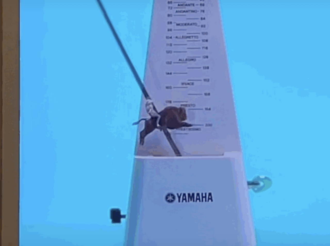 메트로놈 좌우 움직임.png