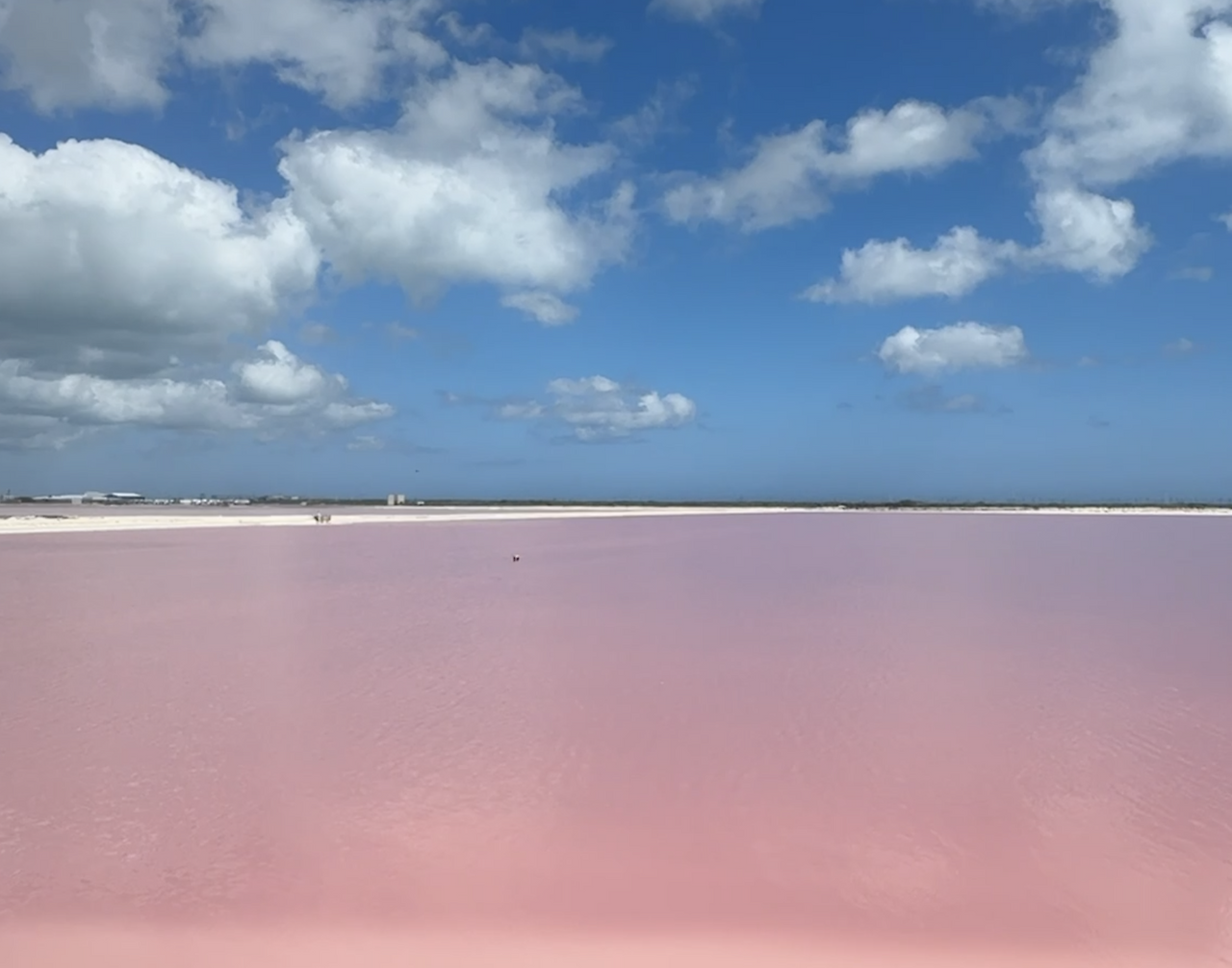 Screenshot 2025-05-30 at 10.46.45 AM.png