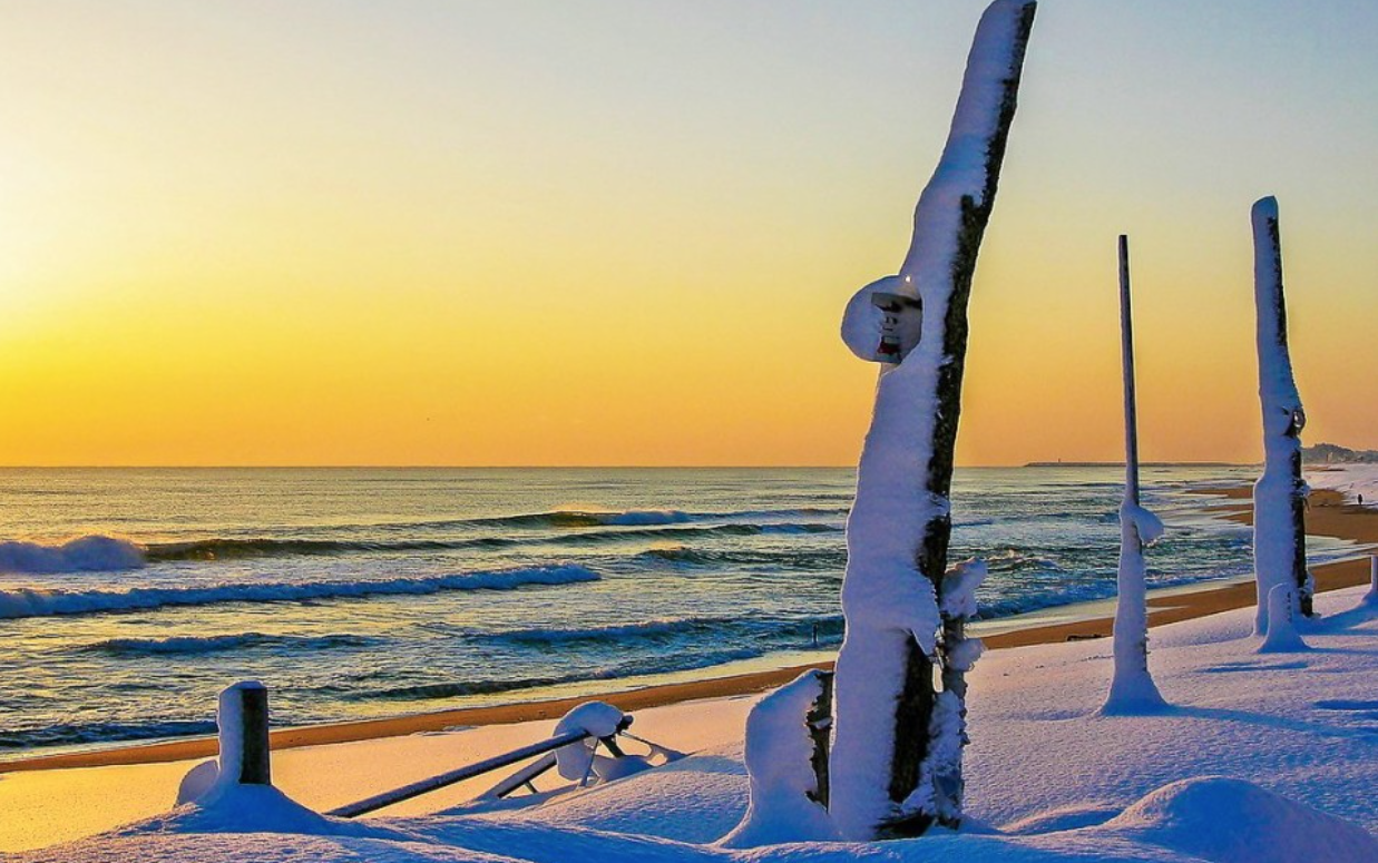 스크린샷 2023-01-02 오후 1.58.48.png