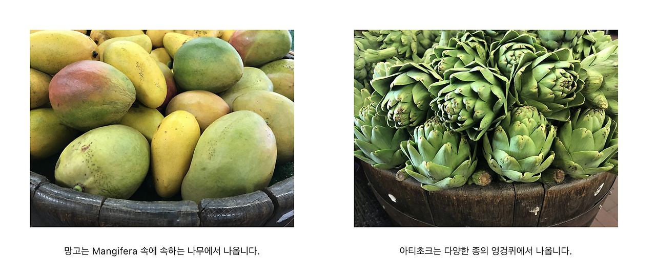 스크린샷 2023-01-03 오후 6.51.30.png