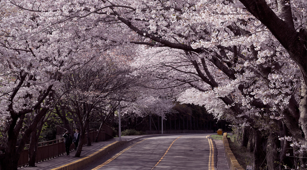 스크린샷 2025-08-31 131541.png