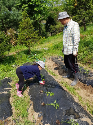 스크린샷 2024-02-08 12.22.58.png