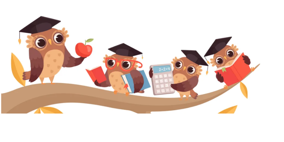 공부하는 부엉이.png