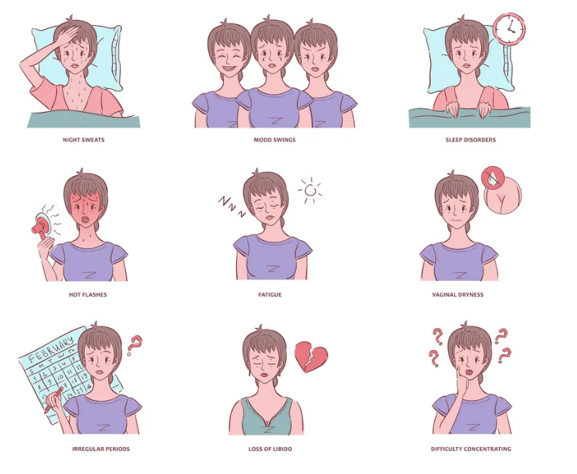 갱년기 장애.png