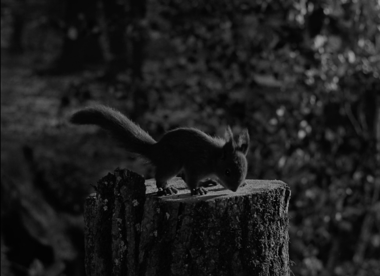 스크린샷 2025-03-12 오전 12.09.00.png