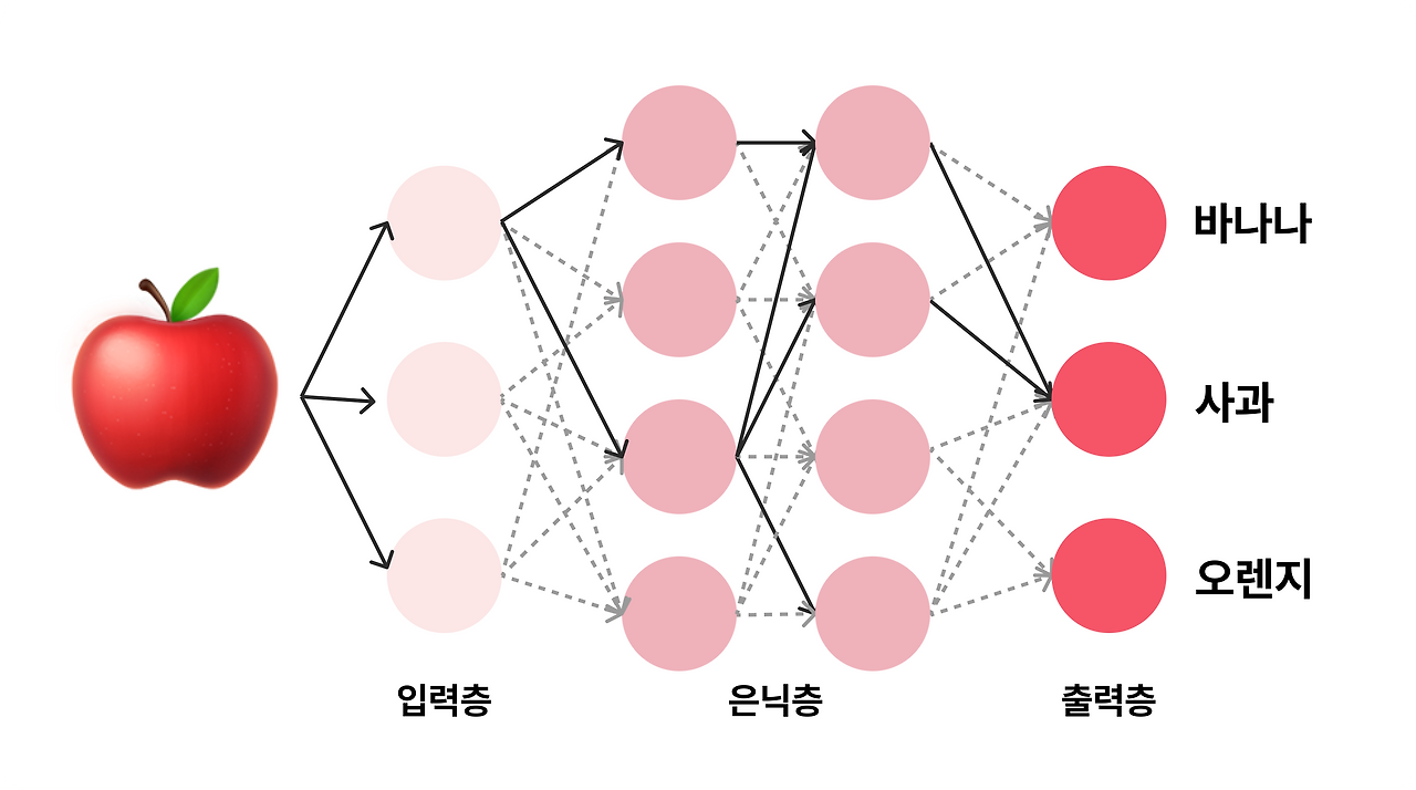 Group 1000004273.png