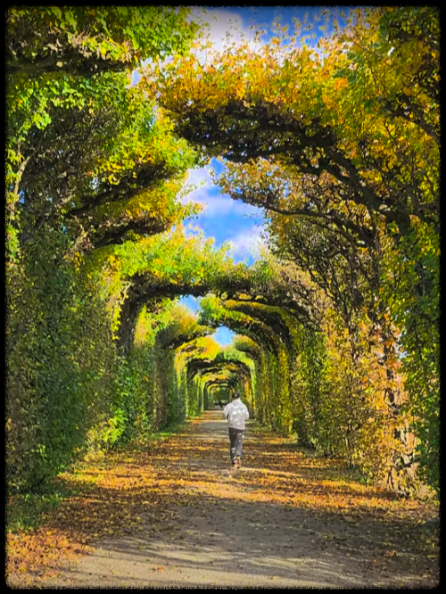 스크린샷 2025-10-19 205003.png