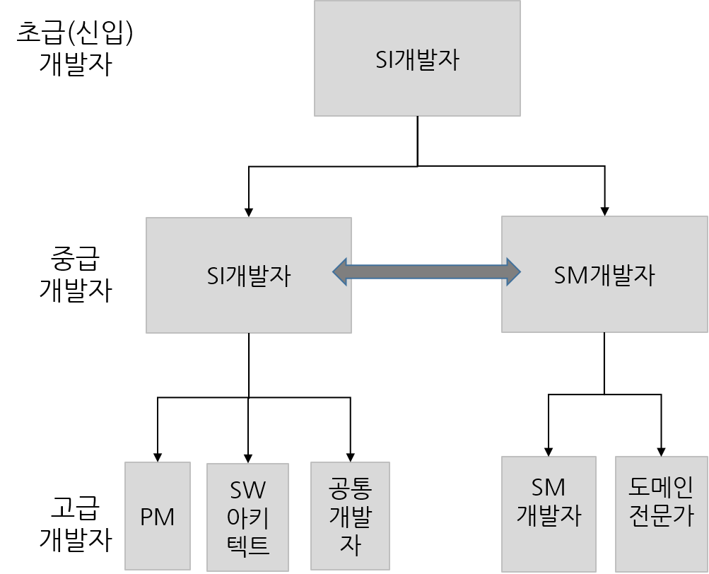 개발자진로.png