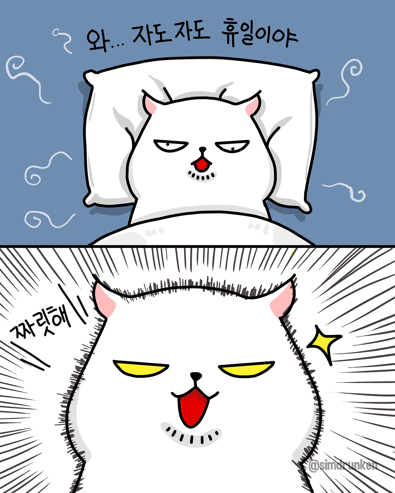 251007 자도자도_0.png