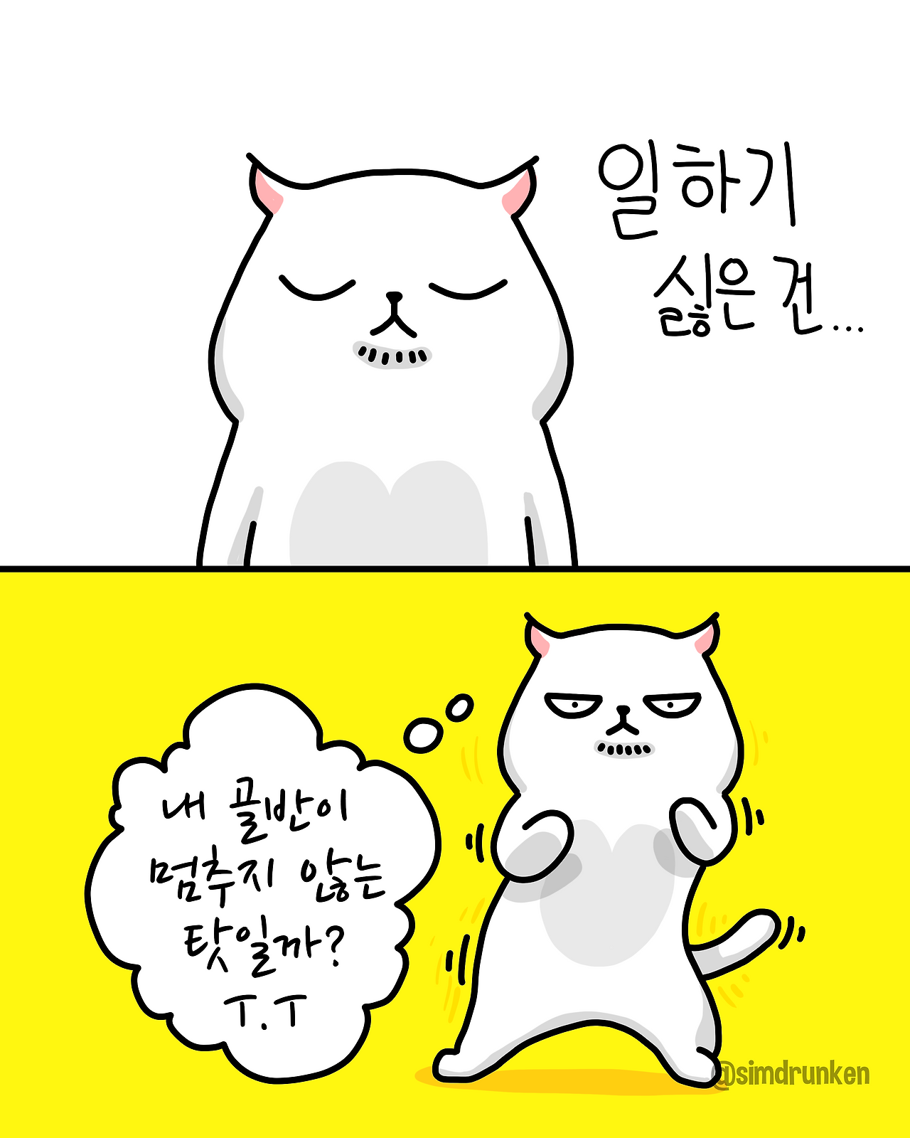 251106 골반춤.png