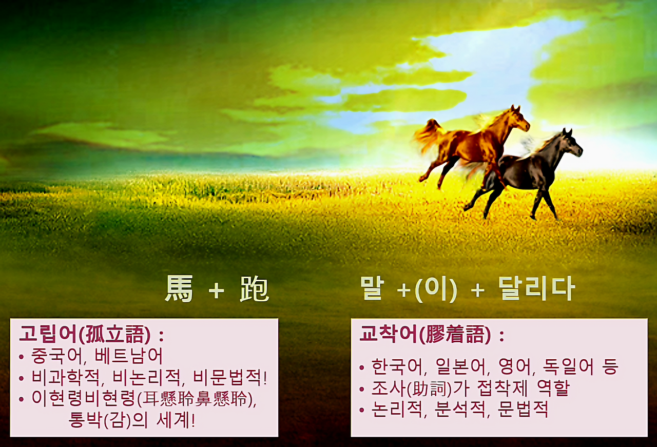 KakaoTalk_20240517_140537454.png