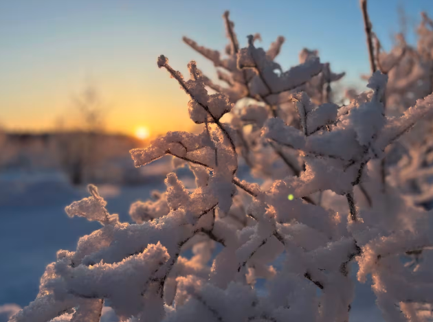 Screenshot 2024-01-04 at 21.33.43.png