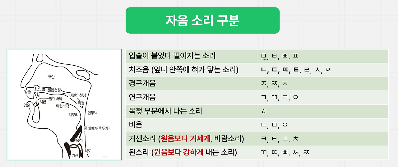 자음소리구분.png
