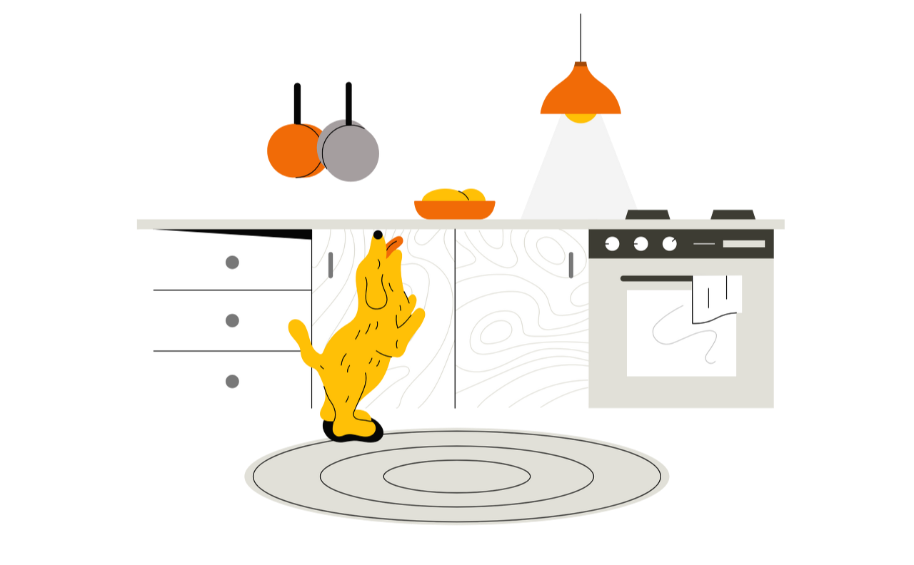 pet-hanging-out-in-the-kitchen.png