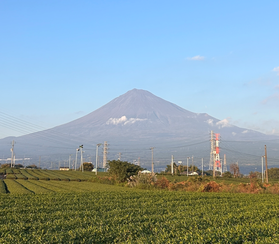 스크린샷 2025-01-30 오후 2.32.09.png