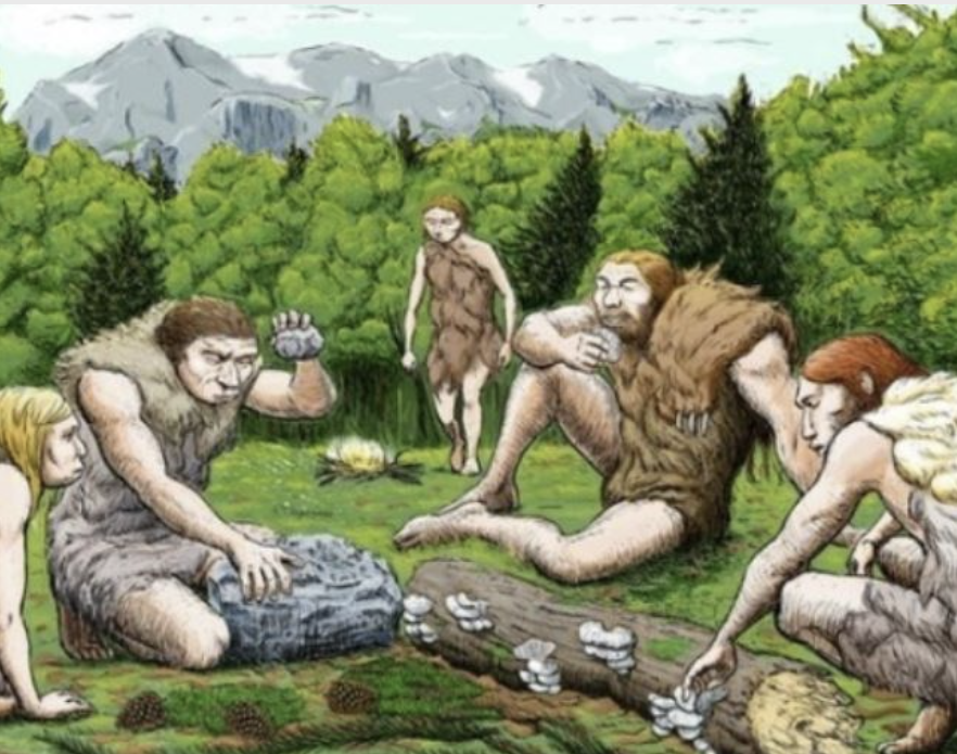 화면 캡처 2022-10-18 110042.png