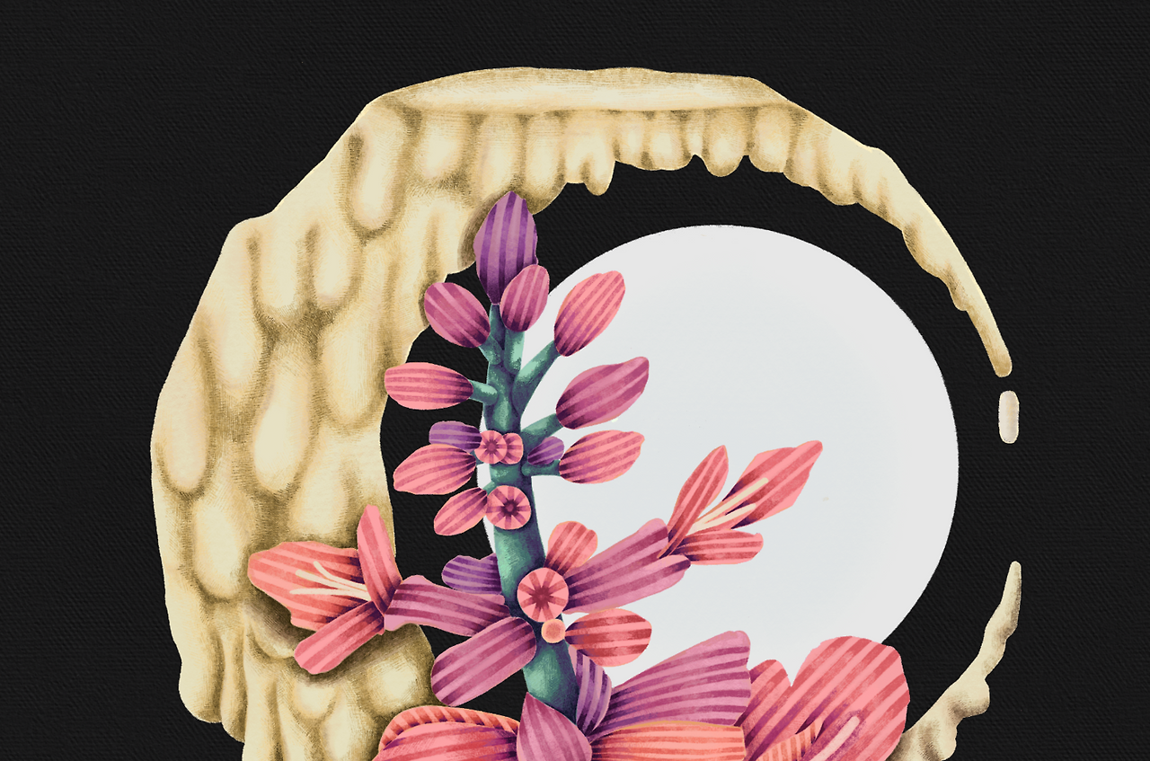 반드시 찾아올 행운(5).png