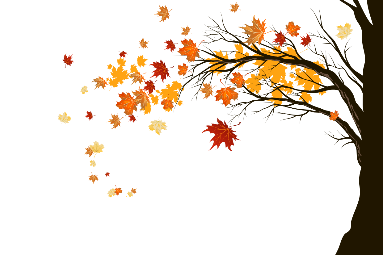 vinyl-wall-art-template-with-falling-leaves.png