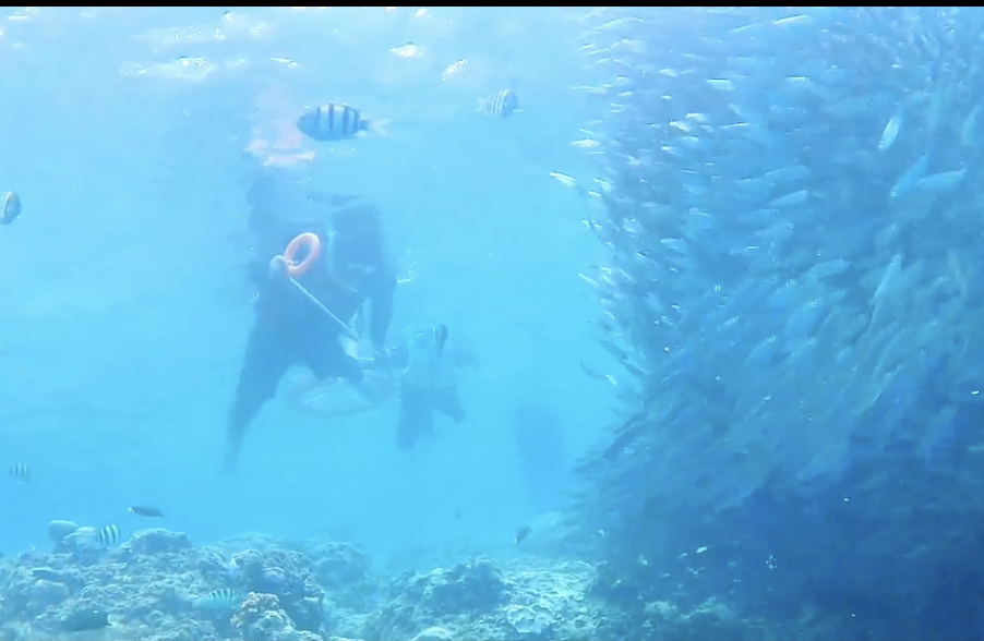 스크린샷 2025-09-16 오후 5.21.25.png