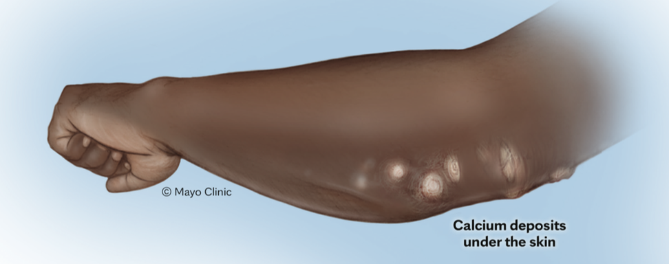 스크린샷 2025-01-16 오후 5.09.53.png